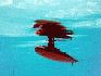 poolsb3t.gif (5660 bytes)